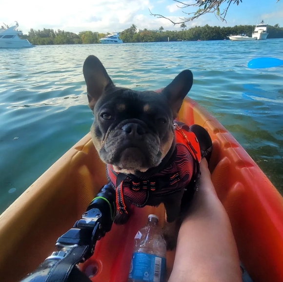 Meet your Posher, LYDOUBLENE - Picture 7 of 8